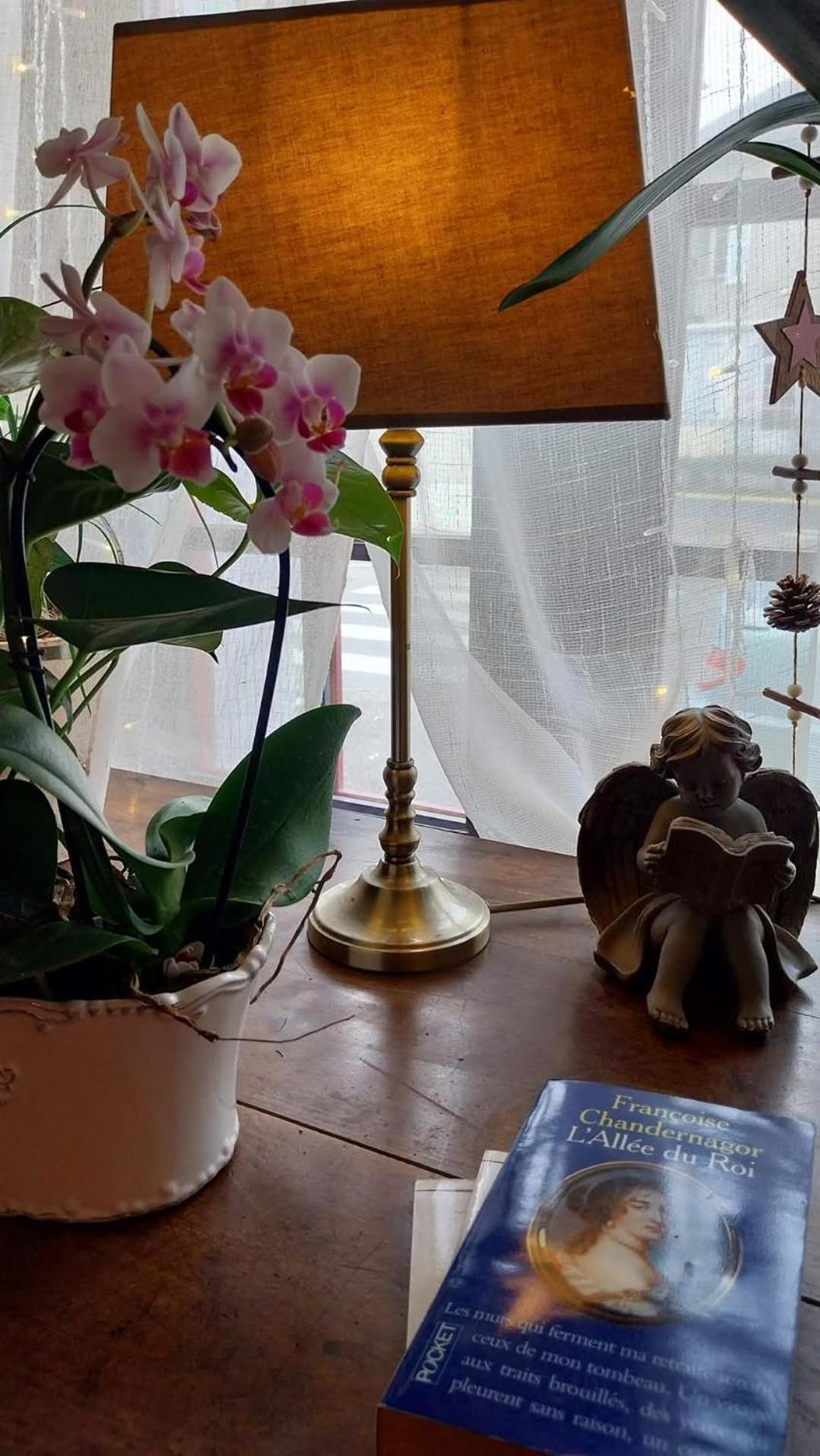 Le 7 Pompadour Hotel Arnac-Pompadour ภายนอก รูปภาพ